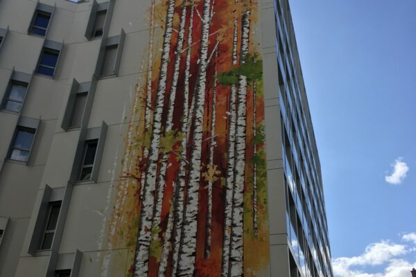 fresque le bouleau de l'artiste War à Rennes