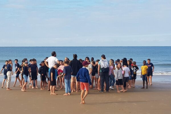 photo de groupe des élèves à la plage les pieds dans l'eau