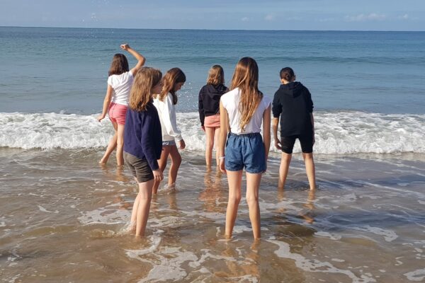 un deuxième groupe d'élève les pieds dans l'eau