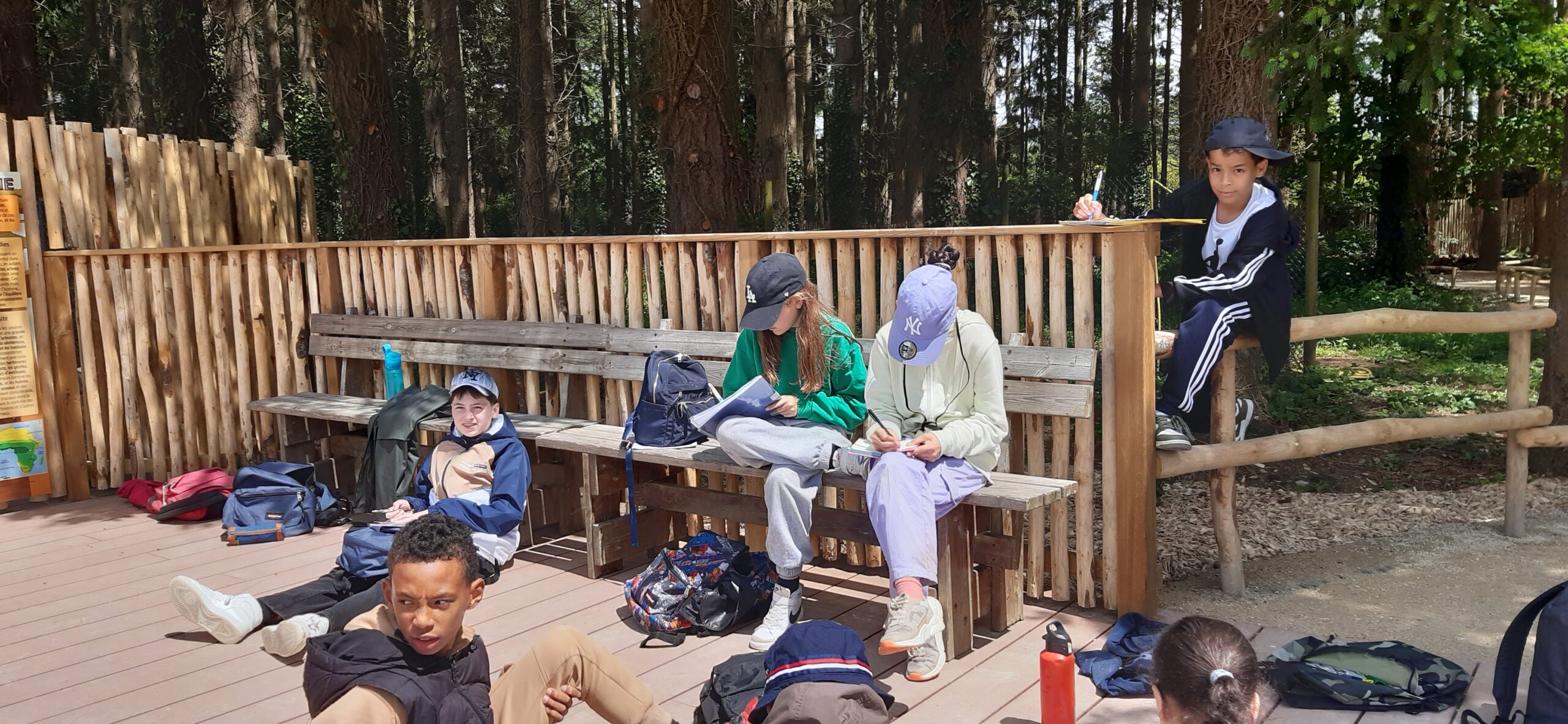 Une Journée d’Exploration au Parc de la Bourbansais pour les 6ème Nacre et Jade ! 🦁📚