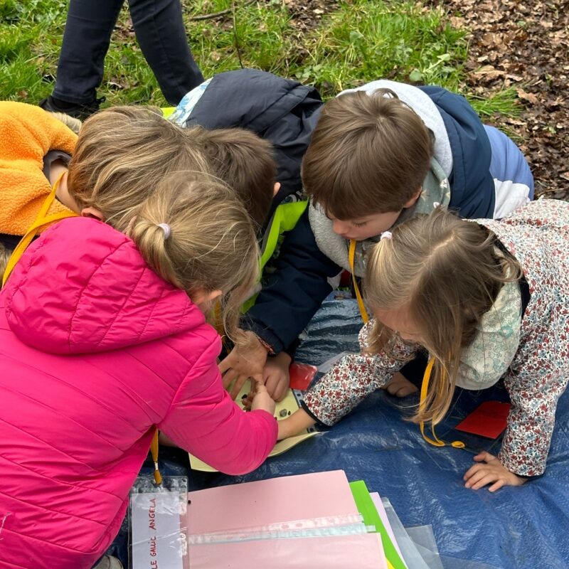 Photo des élèves de grande section pendant leur sortie nature