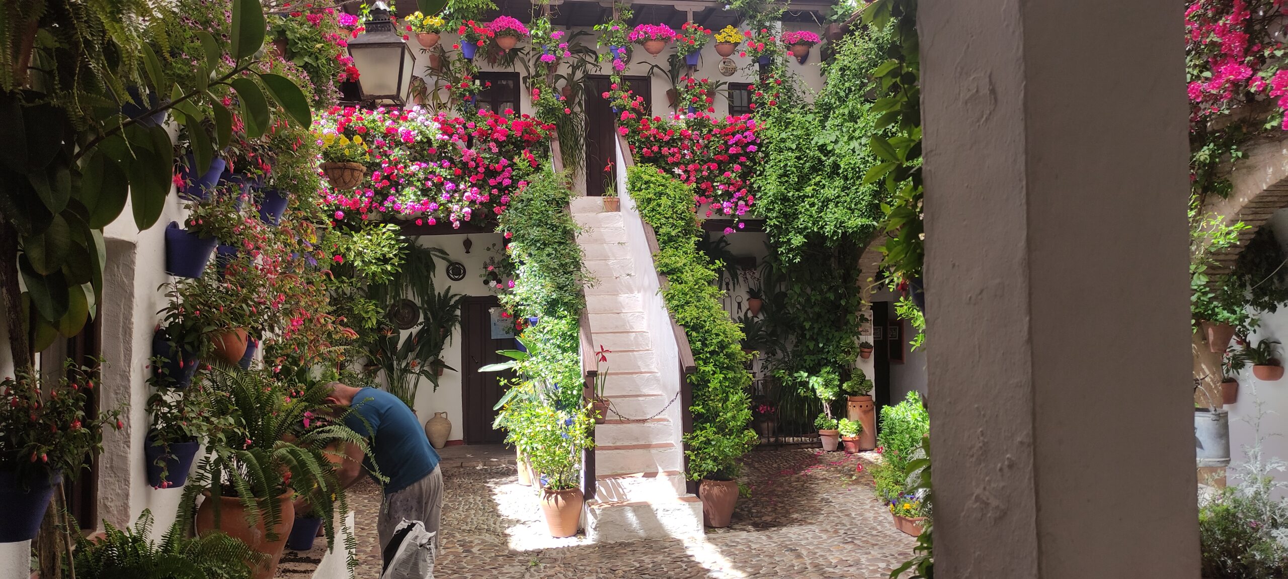 un patio dans la ville de Cordoue en espagne